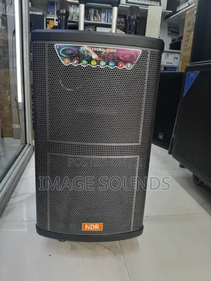 Powered Speaker 15" NDR