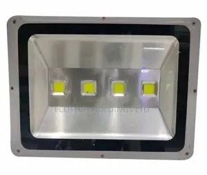 High Power COB LED 200w Ac Floodlight Hfw6