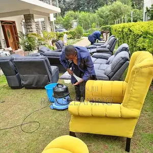 Sofa/Mattress Cleaning