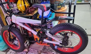 Big Tyres Bicycle Size 20