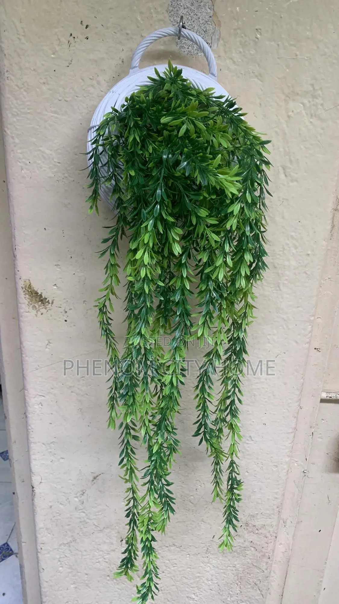 Green Wall Hangings Plus Basket