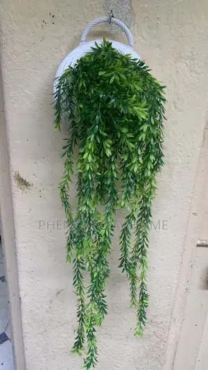 Green Wall Hangings Plus Basket