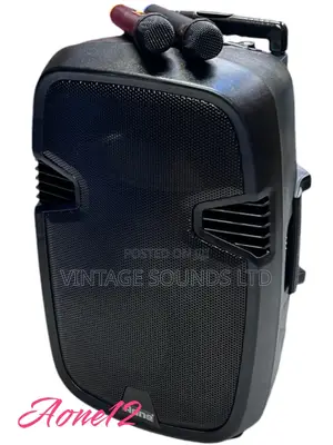 Advanced Aone 12” Portable Powered Speaker 1000watts Pmpo