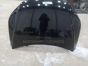 Volkswagen Tiguan 2007-2016 Bonnet