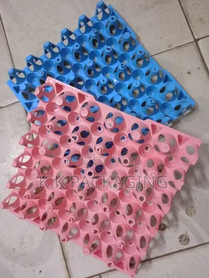 High Quality Plastic Egg Trays -30pcs