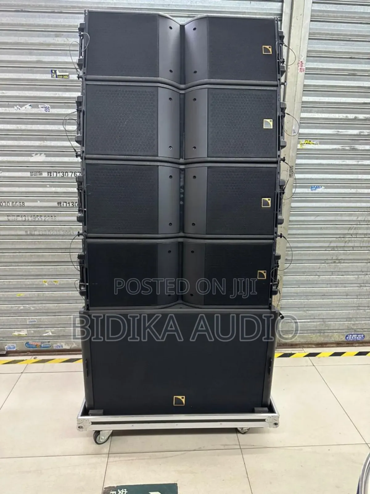 Kara 12inchs Line Array Speakers