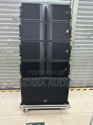 Kara 12inchs Line Array Speakers