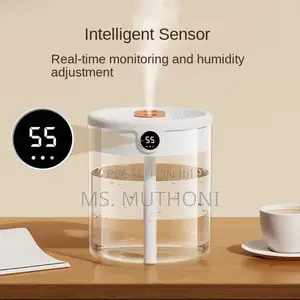 2L Double Nozzle Air Humidifier With LCD