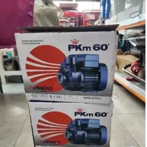 Pedrollo Booster Pump Water Pump Pkm60