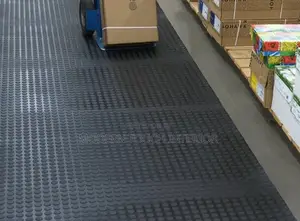 Elegant Coin Rubber Floor Mats