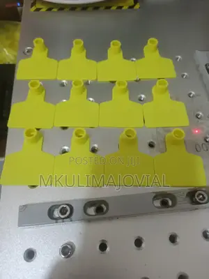 Yellow Color/S Plain Animal Ear Tags