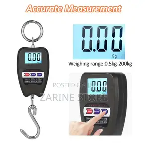 200kg Hanging Weighing Minicrane Scale