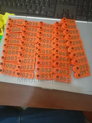 Orange Color Best Ear Tags