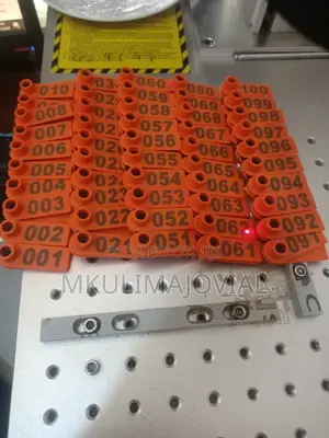 001-100 Pack Ear Tags