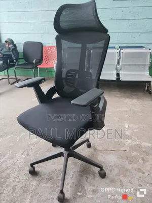 Boss Ergonomic Orthopedic Office Chair