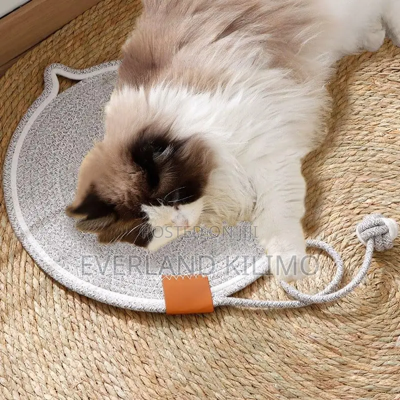 Cat Scratch Mat