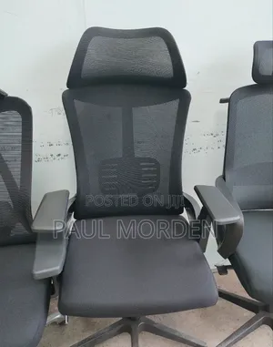 High Ergonomic Orthopedic Office Chair