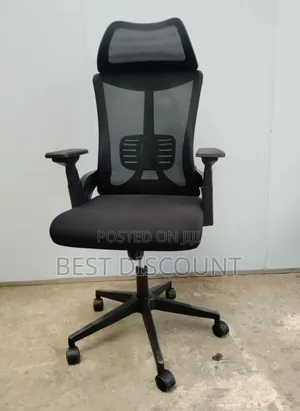 Executive Mini-Orthopedic Chair