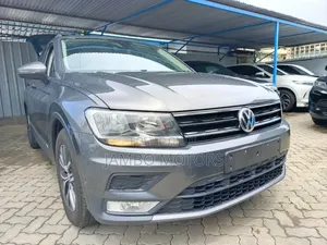 Volkswagen Tiguan 2.0T SE FWD 2018 Gray