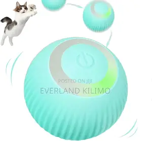 Interactive Toy Ball