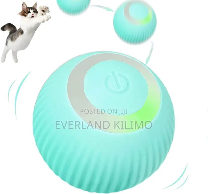 Interactive Toy Ball