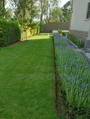 Landscaping