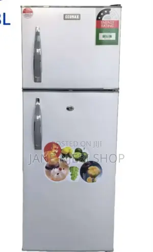 Ecomax 138l Fridge Double Door