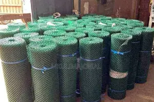 Plastic Mesh / Chicken Plastic Mesh
