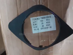 Toyota Rav4 Ac36 Foglight Covers