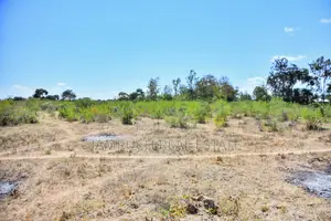 Prime 50x100 Plots in Kithimani