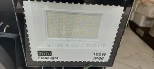 100W Ip66 LED Flood Light,