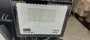 100W Ip66 LED Flood Light,