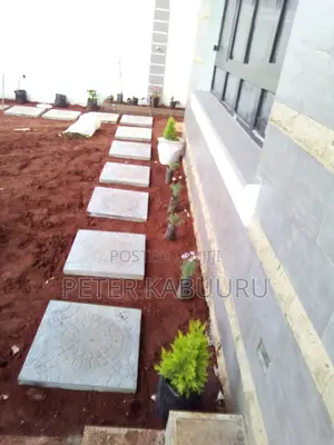 Landscaping and Gardening