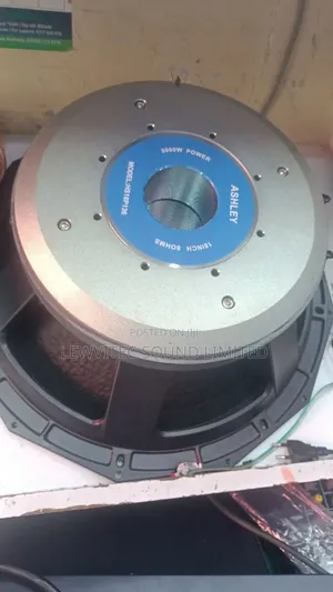 Ashley Pd Speaker