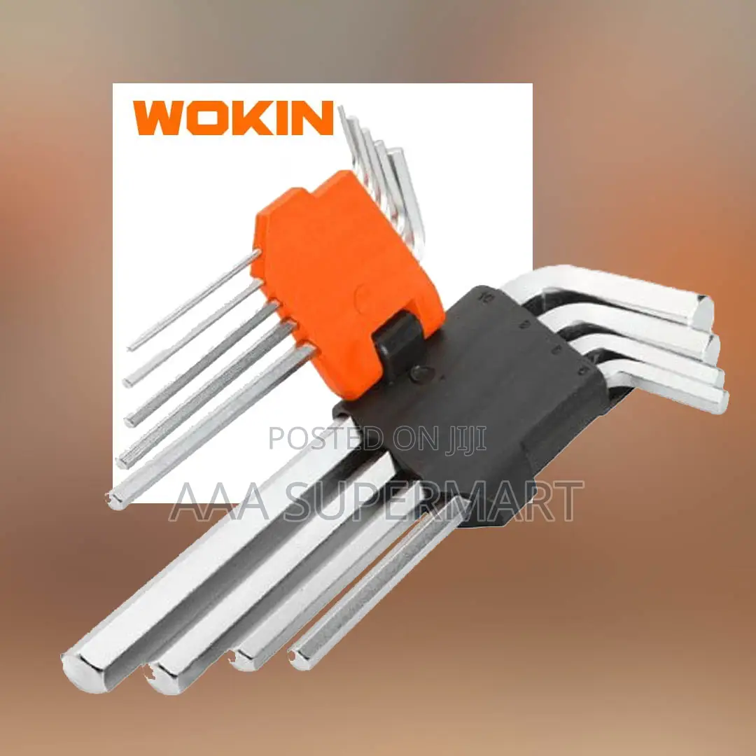 9pcs Long Arm Hex Key Set