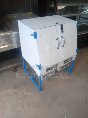 Stainless Magneto Oven