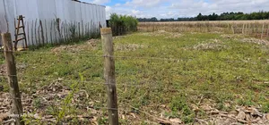 Prime Plot for Sale in Marura Chemaluk Eldoret