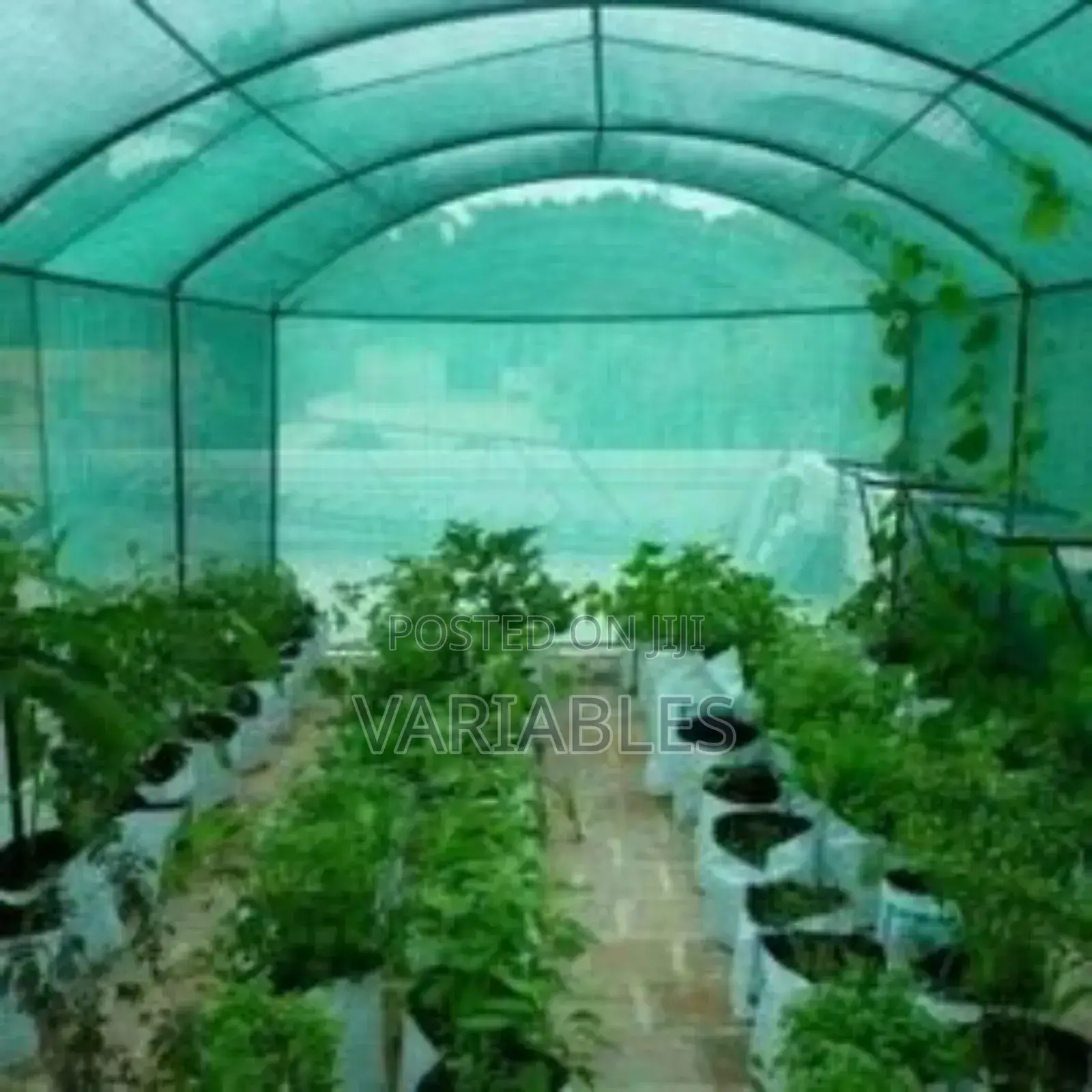Shade Nets for Strong Wind Protection