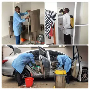Car Fumigation/Cleaning Service