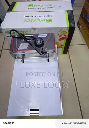 Chips Electric Deep Fryer/ Chips Fryer