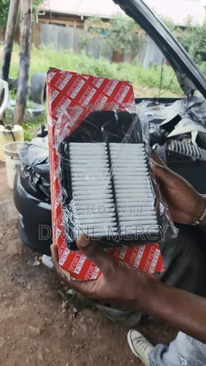 Suzuki Alto Air Filter