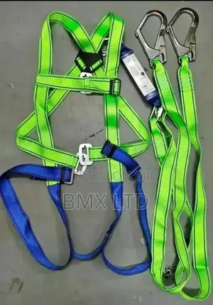 Best Full Body Harness