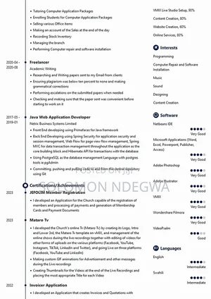 Web Application Developer and Media