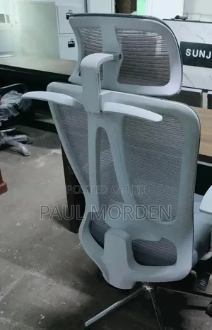 Orthopedic Ergonomic Office Chair
