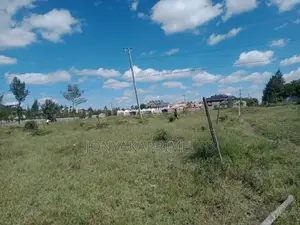 Affordable Parcels Of Land