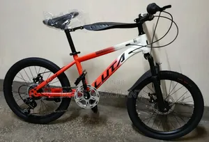 Sports Bike Size 20 With Gear,Front Shock