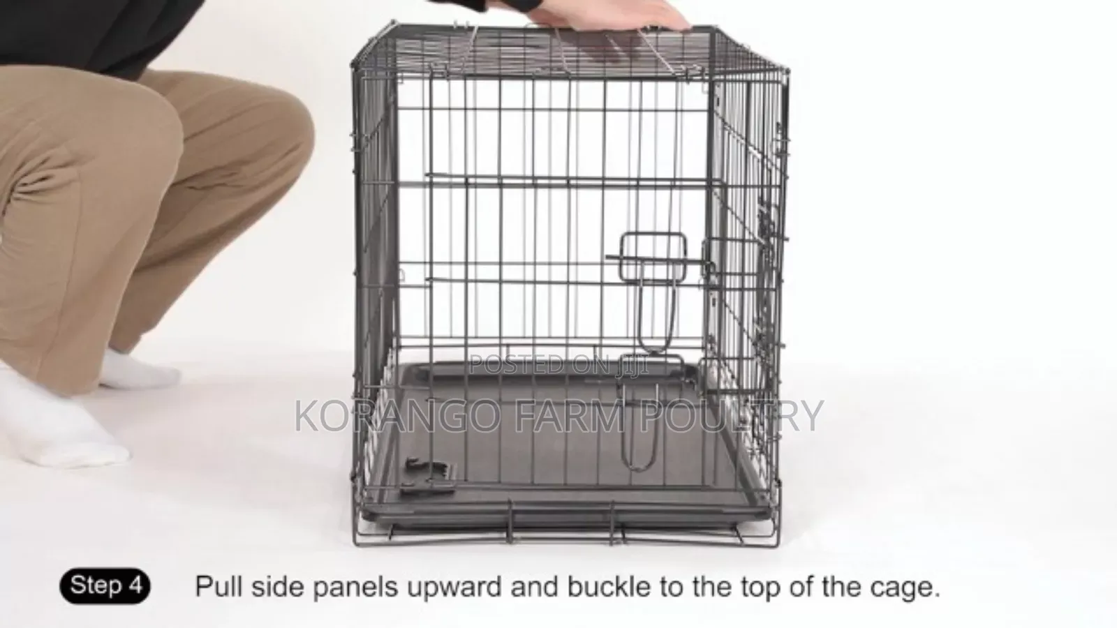Stainless Dog Cages