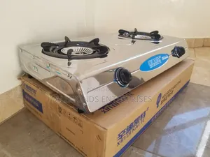 Two Burner Biogas Stove