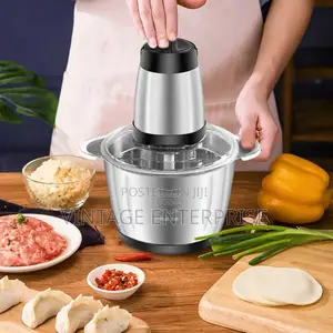 Stainless Steel Electric Meat Grinder