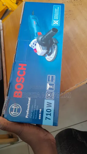 GWS 700 Professional Angle Grinder